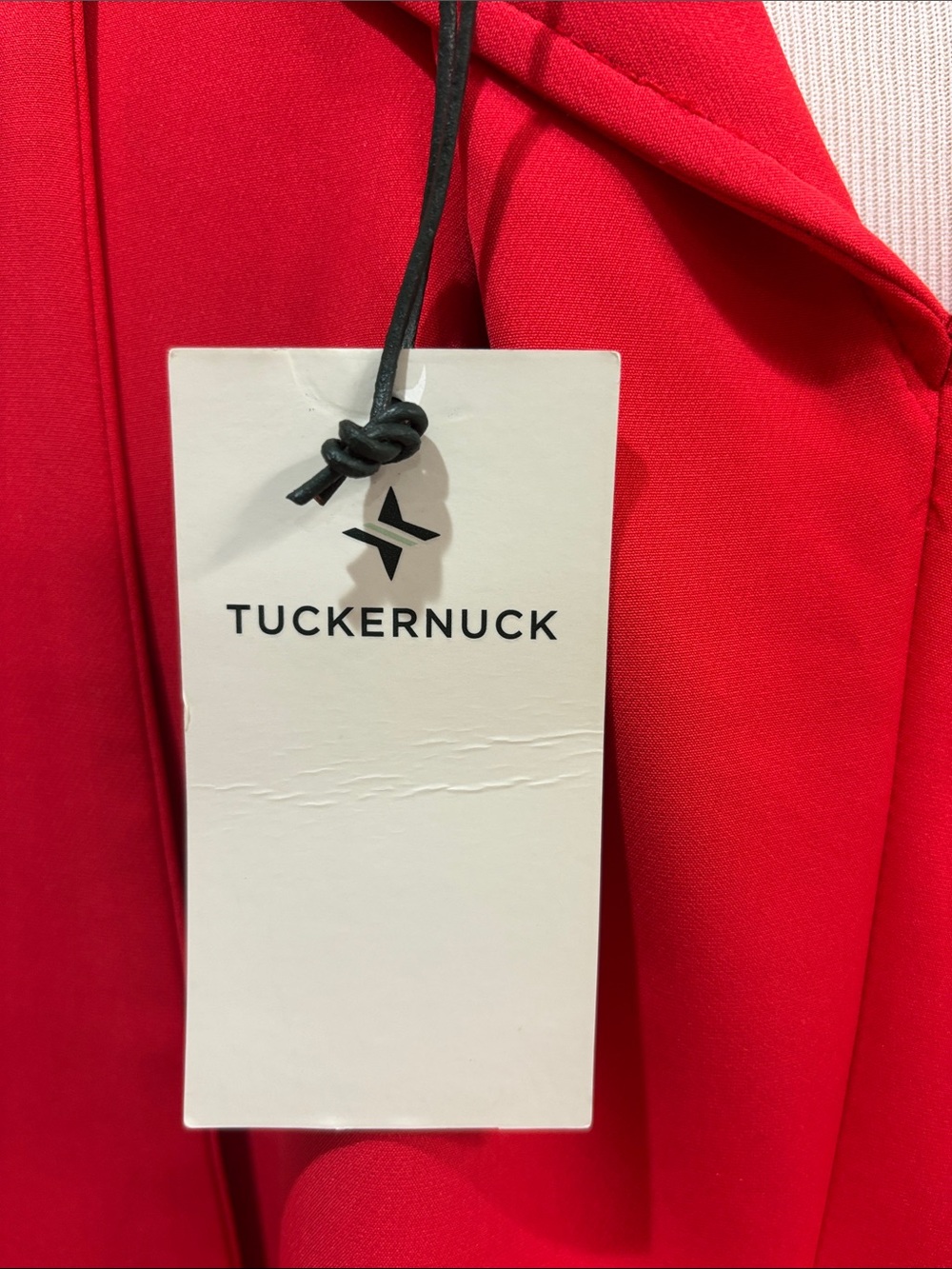 Tuckernuck Red Ruffle-Neck Mini Dress - Picture 10 of 11